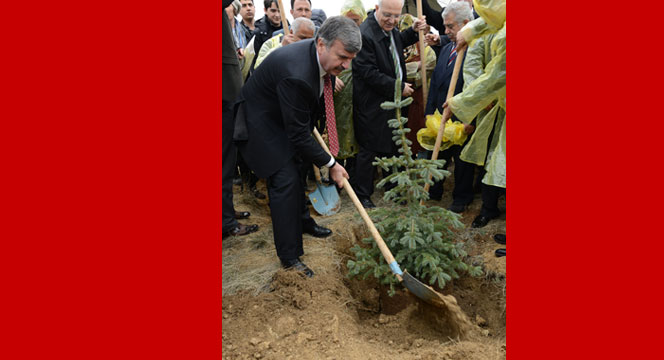 2014’te 703 Bin Fidanı Toprakla Buluşturduk