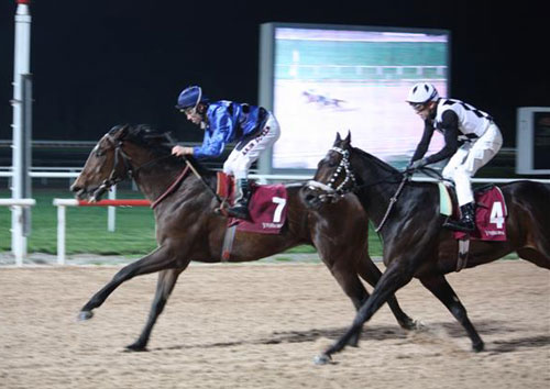 CRITICAL SCORE Kazandı