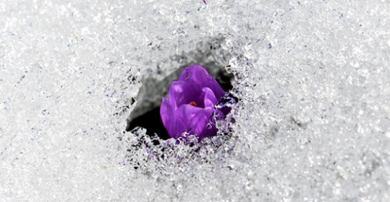 İlk cemre ne zaman düşecek?