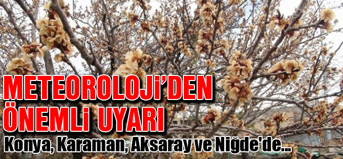 Meteorolojiden Zirai Don Uyarısı