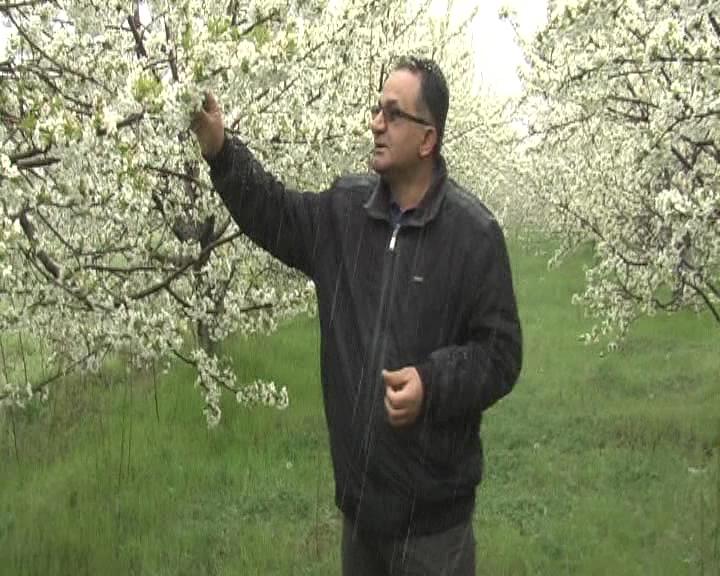 SOYLU, DON OLAYINA KARŞI ÜRETİCİYİ UYARDI