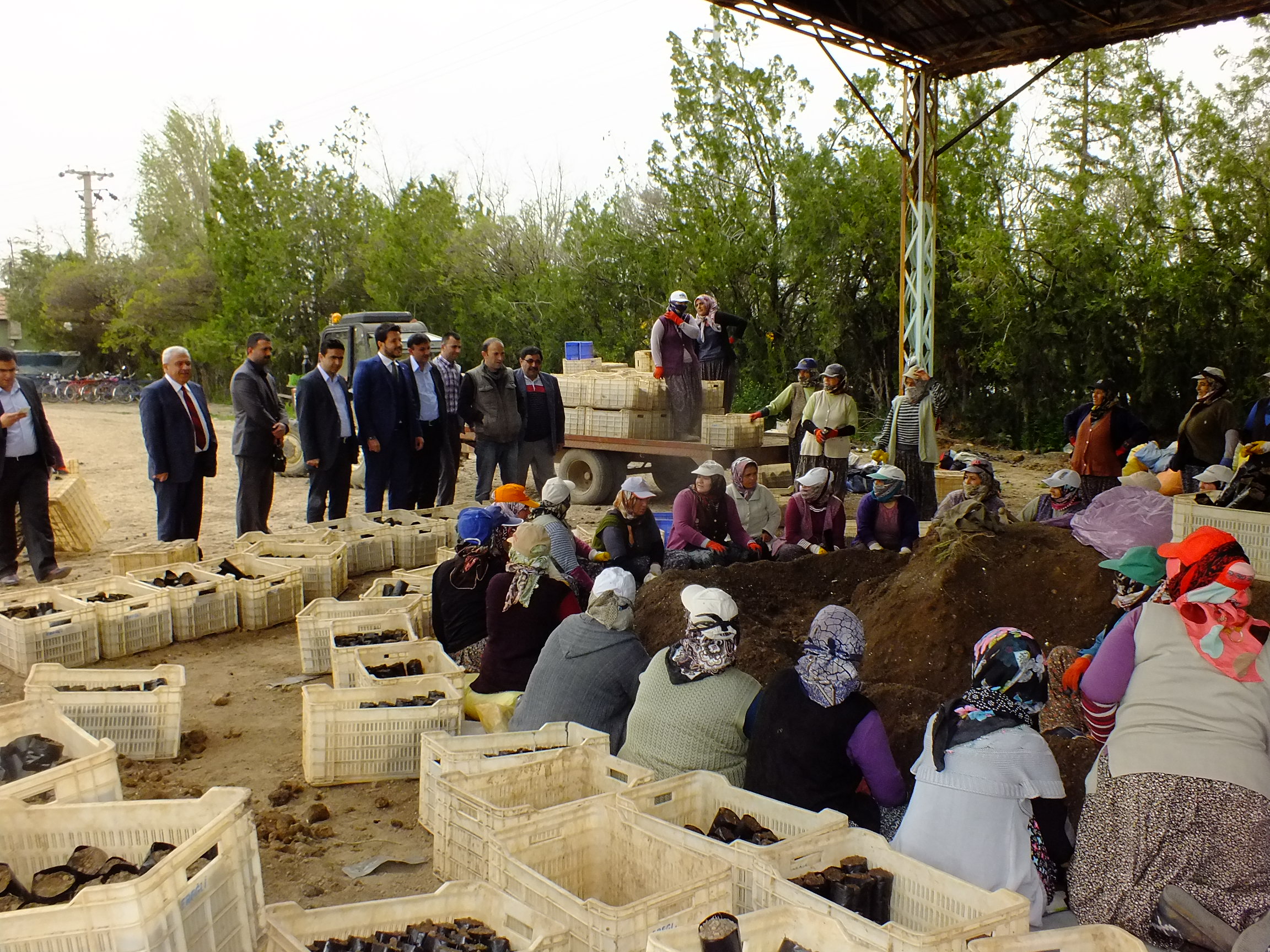 Genç Mv Adayı  Mustafa Kaya Ereğli’nin Gözdesi Oldu