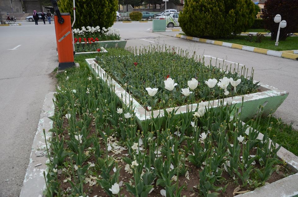 Duyarlı Vatandaşlardan Tepki: “ÇEVREYE DUYARLI OLALIM”