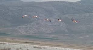 EKİCİ, AKGÖL İÇİN BİMER’E ŞİKAYETTE BULUNDU…