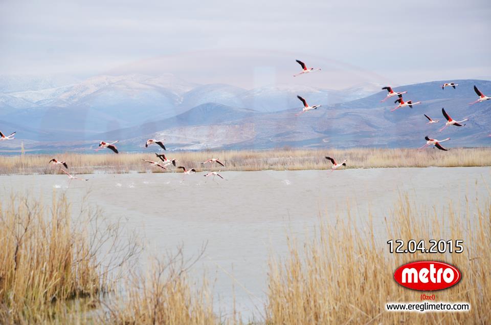 ÜNİVERSİTELİLER’DEN AKGÖL GEZİSİ
