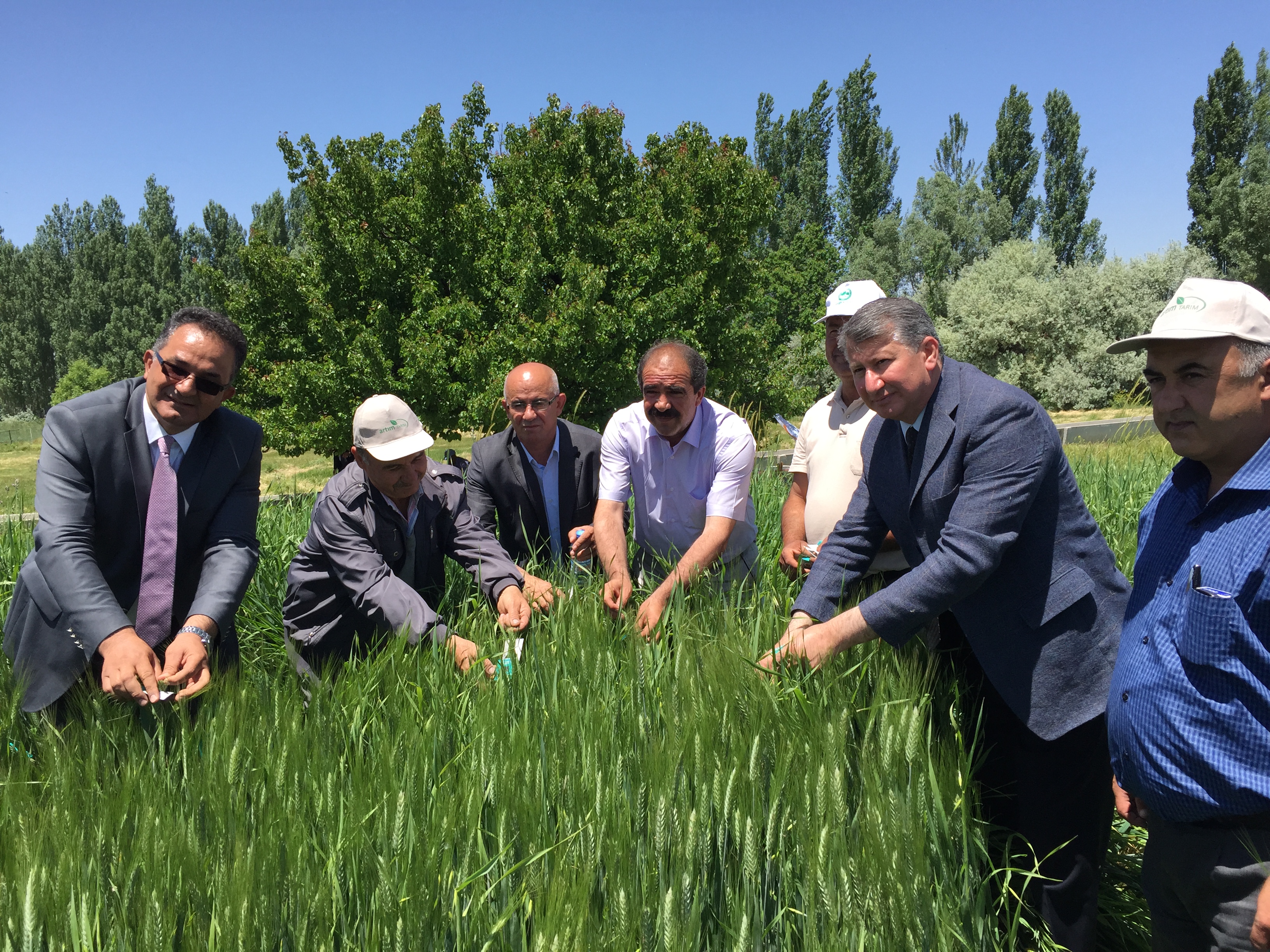 Süneye Karşı Biyolojik Mücadele