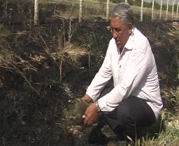 Ereğli’nin Kalbinde Yangın, 50 Dekarlık ormanlık alan kül oldu