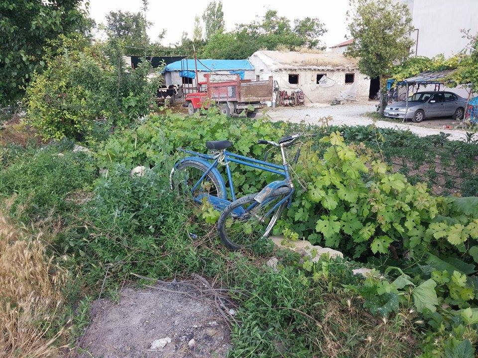 Trene Çarpan Bisiklet Sürücüsü Yaralandı