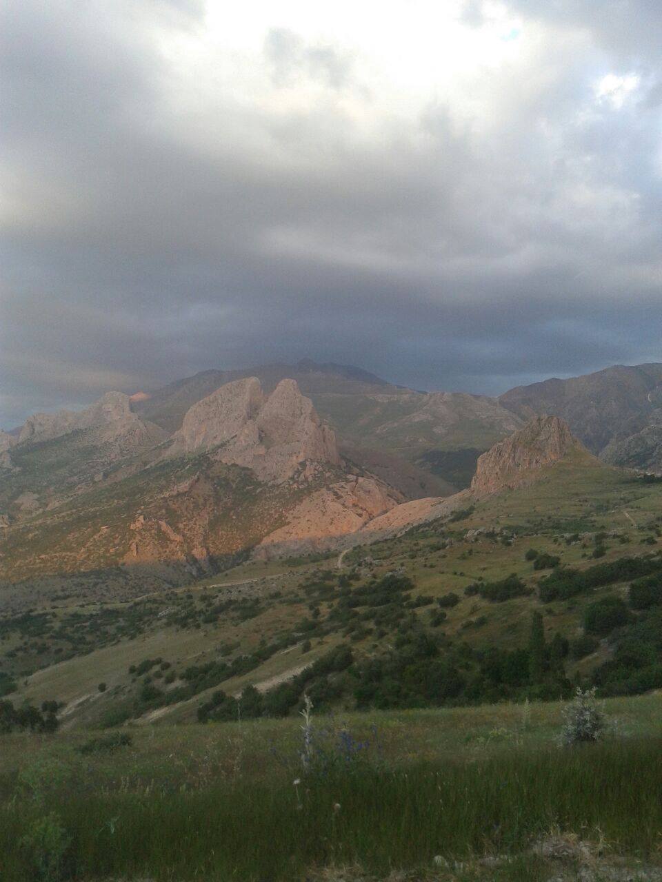 Aydos’da, Koyunları Otlatan Çobanın Cesedi Bulundu