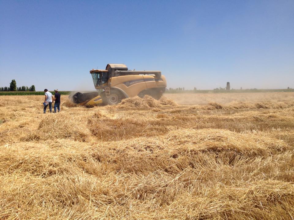 BİÇERDÖVERLER KONTROL EDİLİYOR !!!