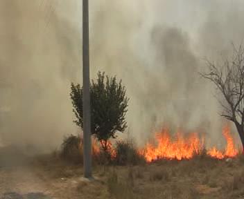 OT YANGINI KORKU VE PANİĞE NEDEN OLDU