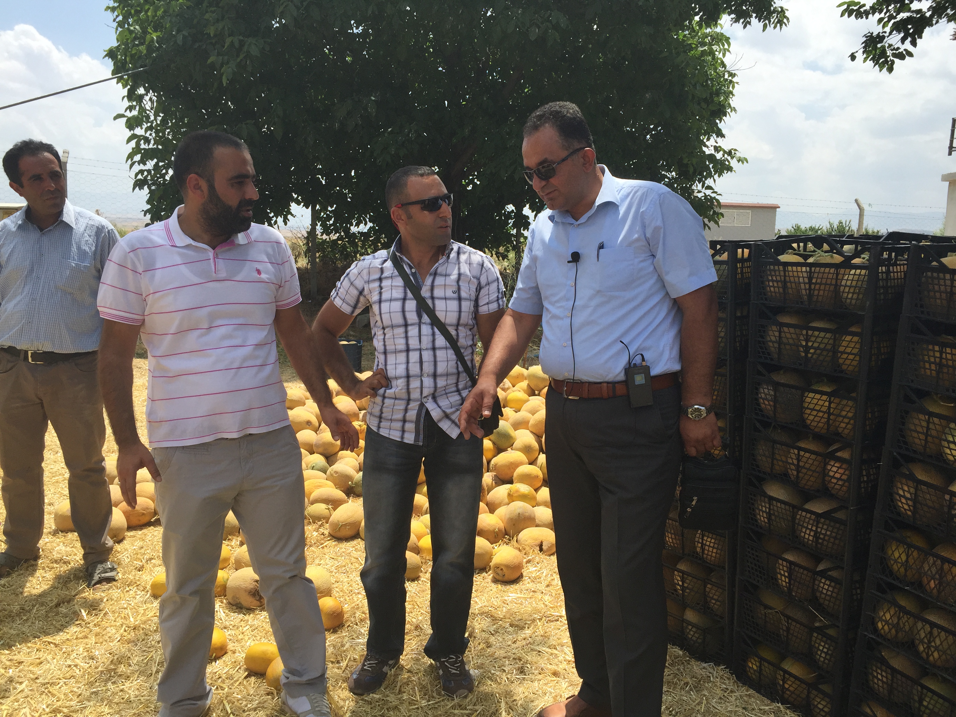 Ereğli’den İhracatlık  Kavun ve Karpuz