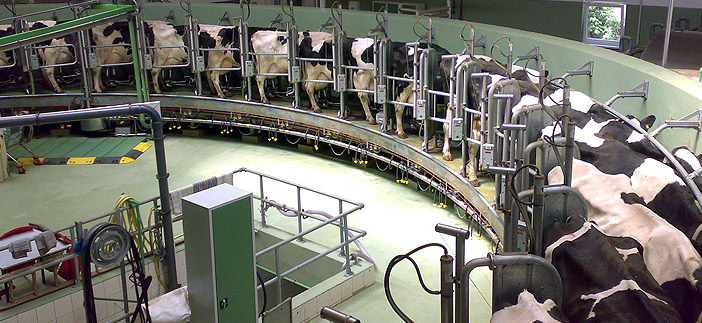 Süt ve Süt Ürünleri Üretimi, Haziran''da Arttı