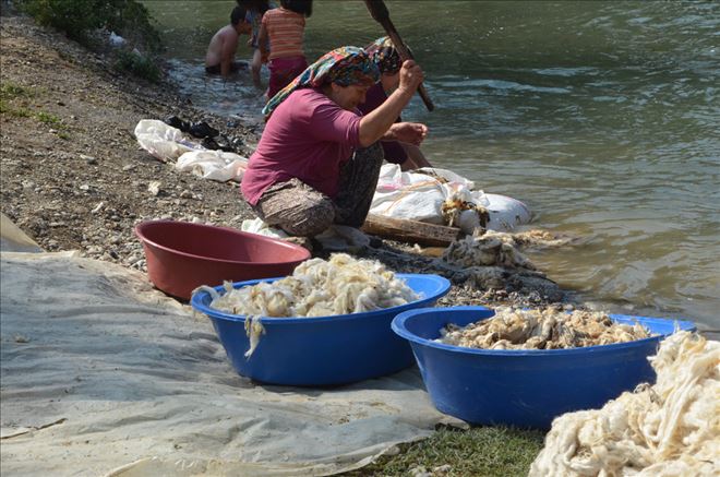 Ölmeyen Kültür…