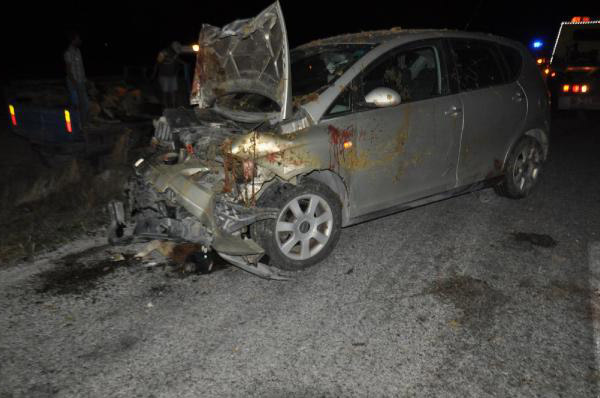 Otomobil Koyun Sürüsüne Daldı: 3 Yaralı, 45 Koyun Telef Oldu