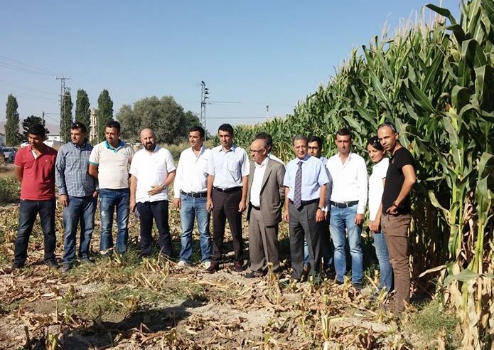Ereğli’de Mısır hasadında verim ve protein ölçümü yapıldı