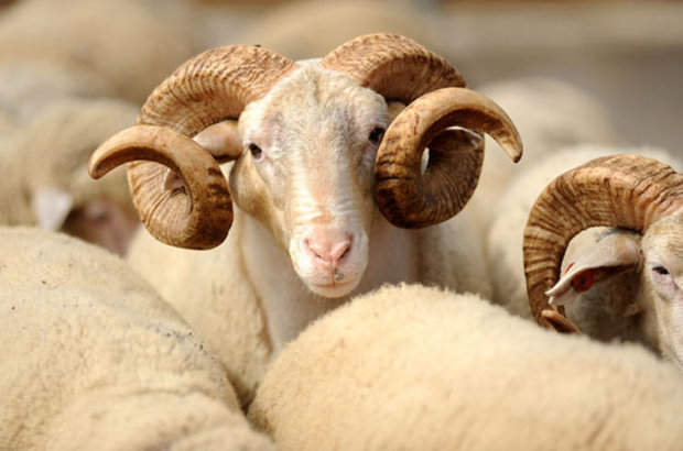 Bakan Müjdeyi Verdi: Bayram Tatili 9 Gün Oluyor