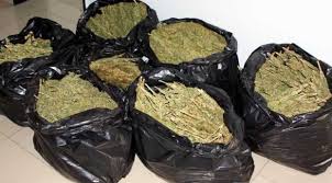 Konya'da Uyuşturucu İmalathanesine Baskın