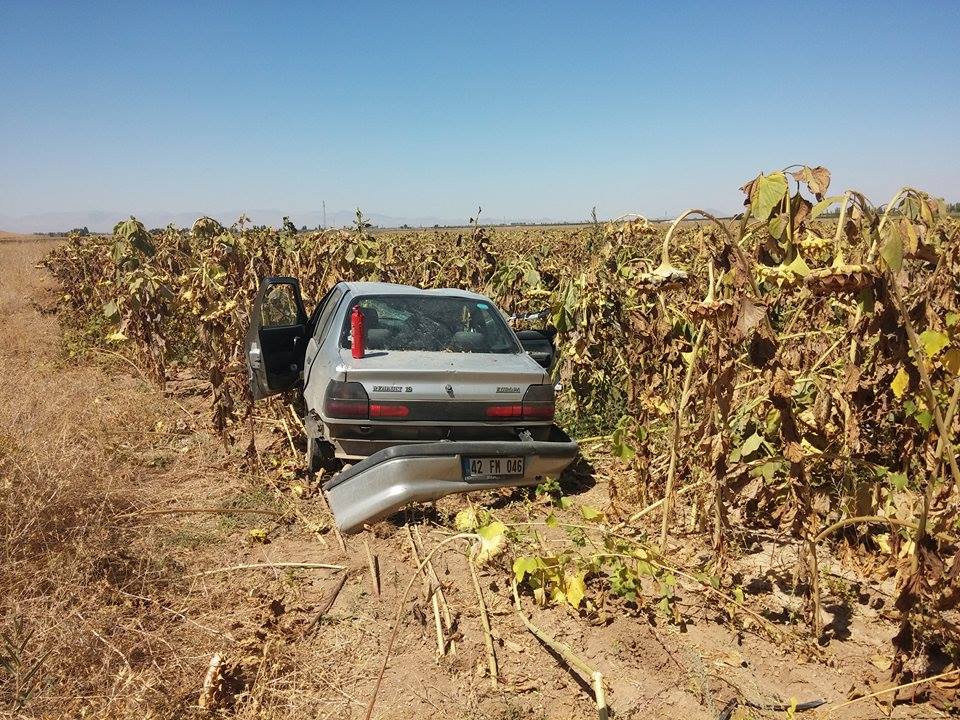 OTOMOBİL AYÇEKİRDEĞİ TARLASINA UÇTU