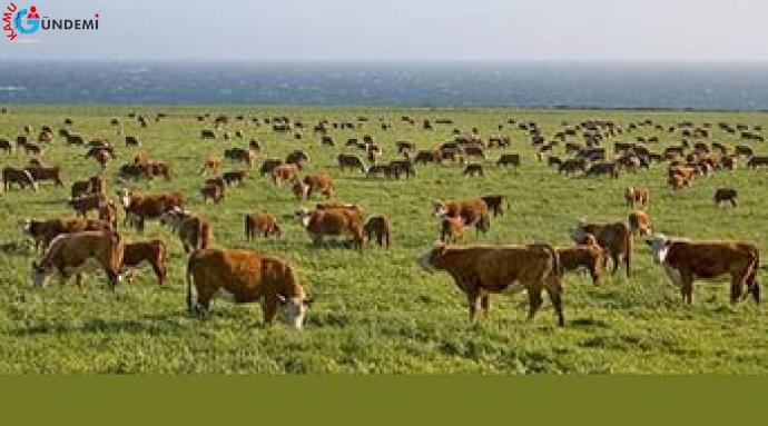 Türkiye, Fransa'dan Sonra İkinci