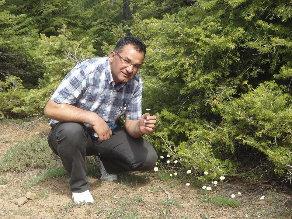 SERTİFİKALI ÜRETİM DESTEKLEMELERİ BAŞVURULARI BAŞLIYOR