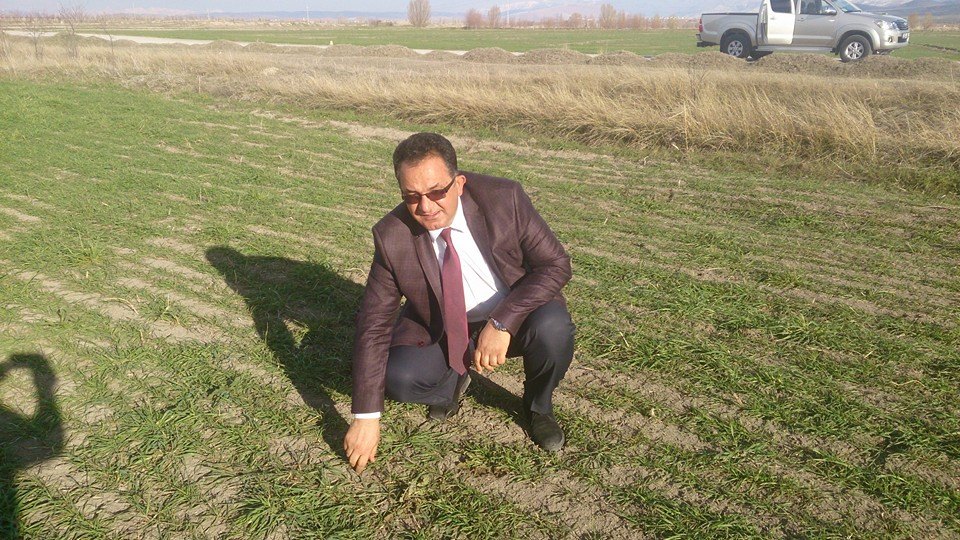 Silajlık Mısır Ölçümlerinde Sona Gelindi