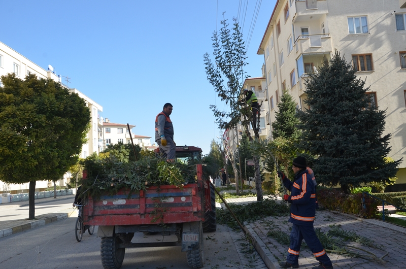 Ereğli’nin Süsü Ağaçlar Budanıyor