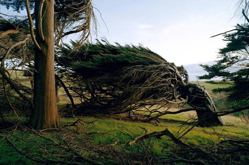 BÖLGEMİZDE ŞİDDETLİ FIRTINA BEKLENİYOR