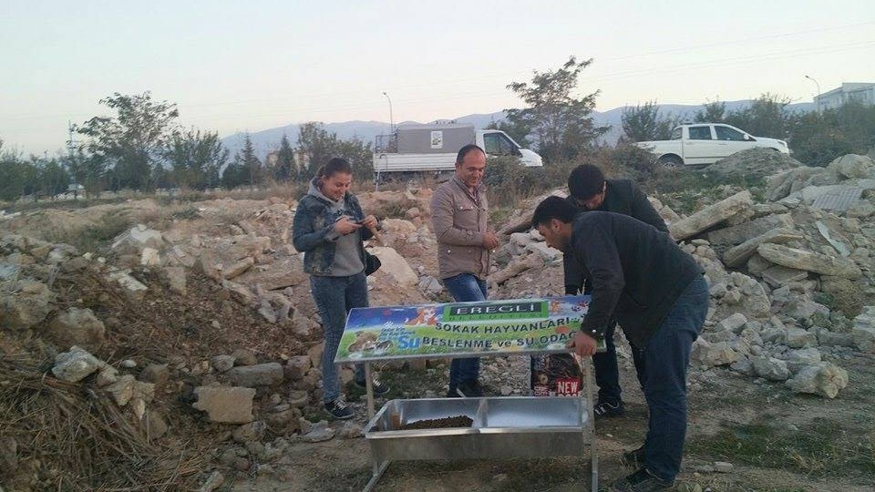 Evsiz Hayvanlar Aç ve Susuz Kalmayacak