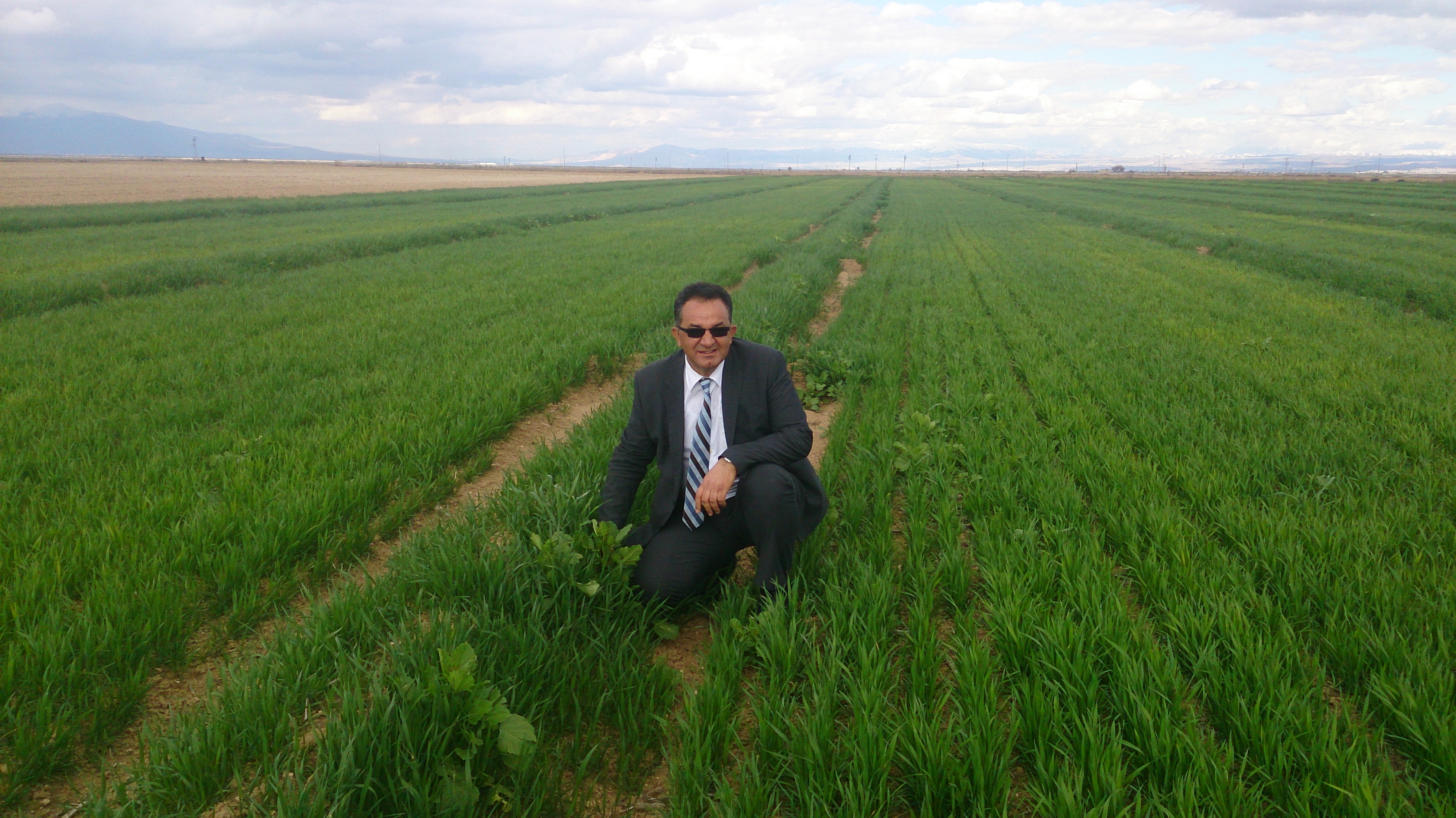 Sertifikalı Fide/Fidan Desteklemesi Başvuruları Devam Ediyor