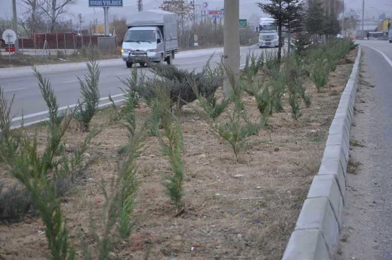 Ereğli Giriş ve Çıkışları Güzelleşiyor