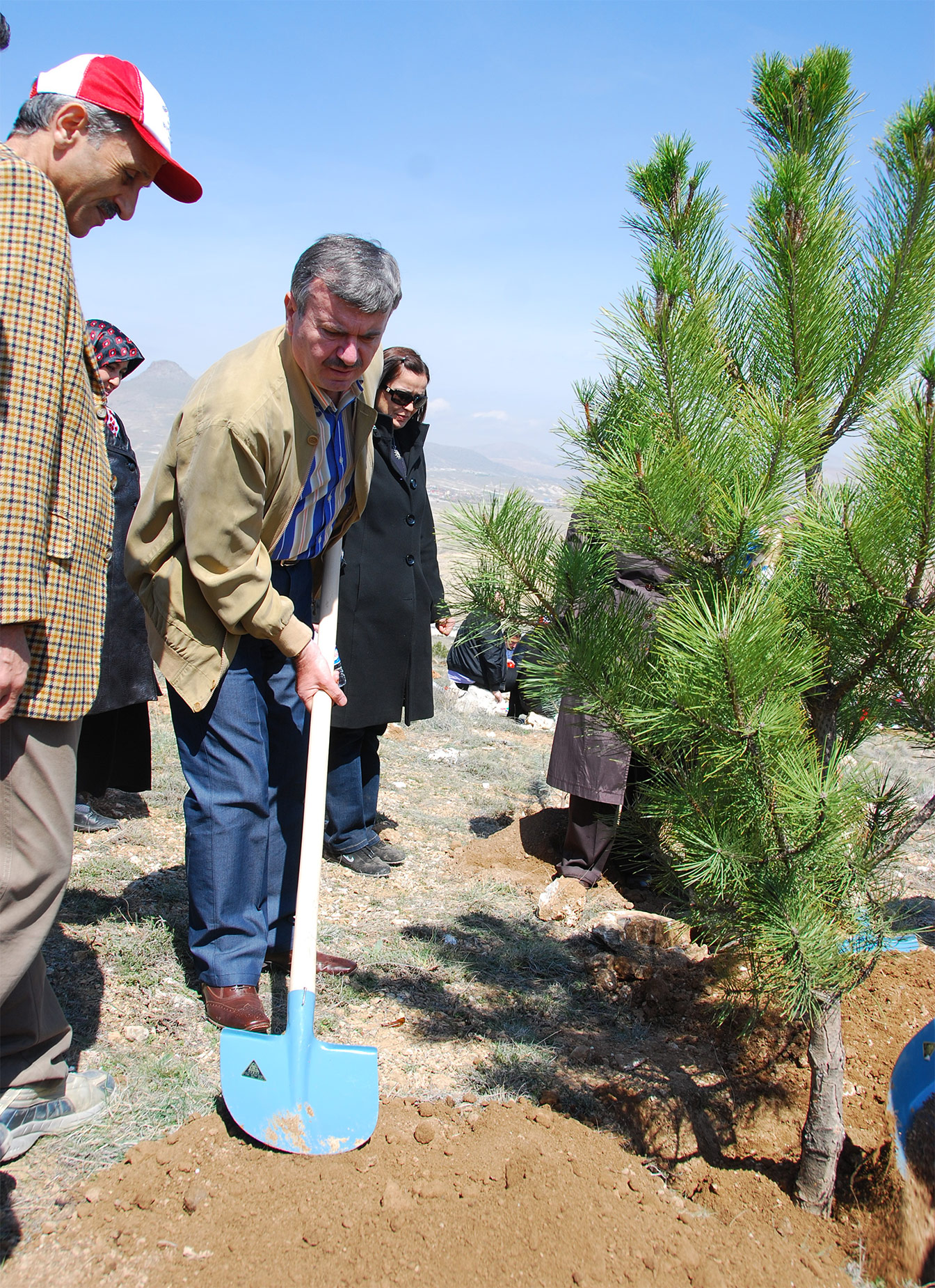1 Yılda 7 Milyon Fidan Toprakla Buluştu