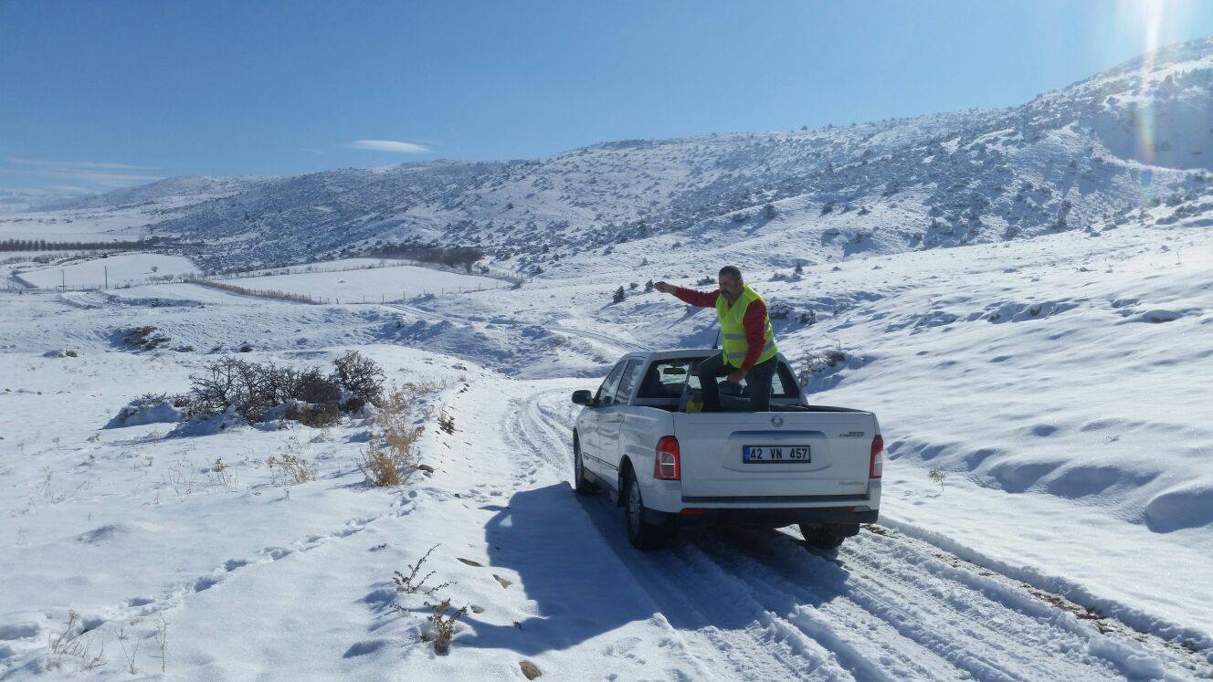 Belediye Ekipleri Yaban Hayvanları İçin Yem Bıraktı