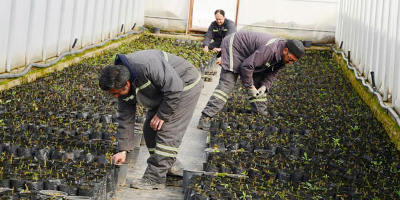 Meram'da 700 Bin TL Tasarruf Sağlanıyor