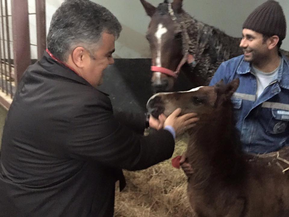 Ereğli'ye Atlı Spor Kulübü Kazandırmaya Çalışıyoruz