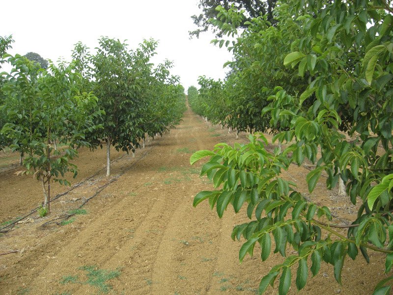 İŞLETME DESTEĞİ VERİLECEK