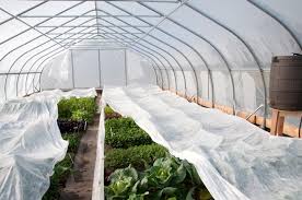 Konya ve Çevresi İçin Zirai Don Uyarısı