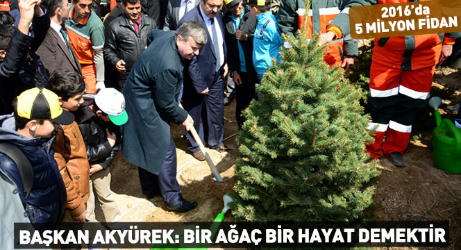 Başkan Akyürek: Bir Ağaç Bir Hayat Demektir