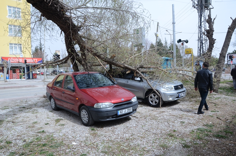 Ereğli'de fırtına: Çatı uçurdu, ağaçları devrildi