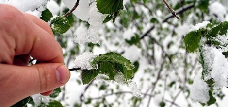 Zirai Don Riskine Dikkat!