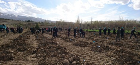 “Biz Kafayı Yeşile Fena Taktık”