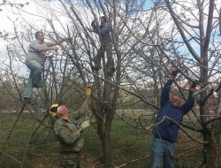 ONLAR, AĞAÇ ÜZERİNDE EKMEĞİNİ ZOR ŞARTLARDA KAZANANLAR!!!