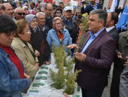 3 Bin Fidan Kapışıldı