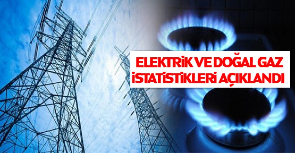 Elektrik ve Doğal Gaz Fiyatları istatistikleri açıklandı
