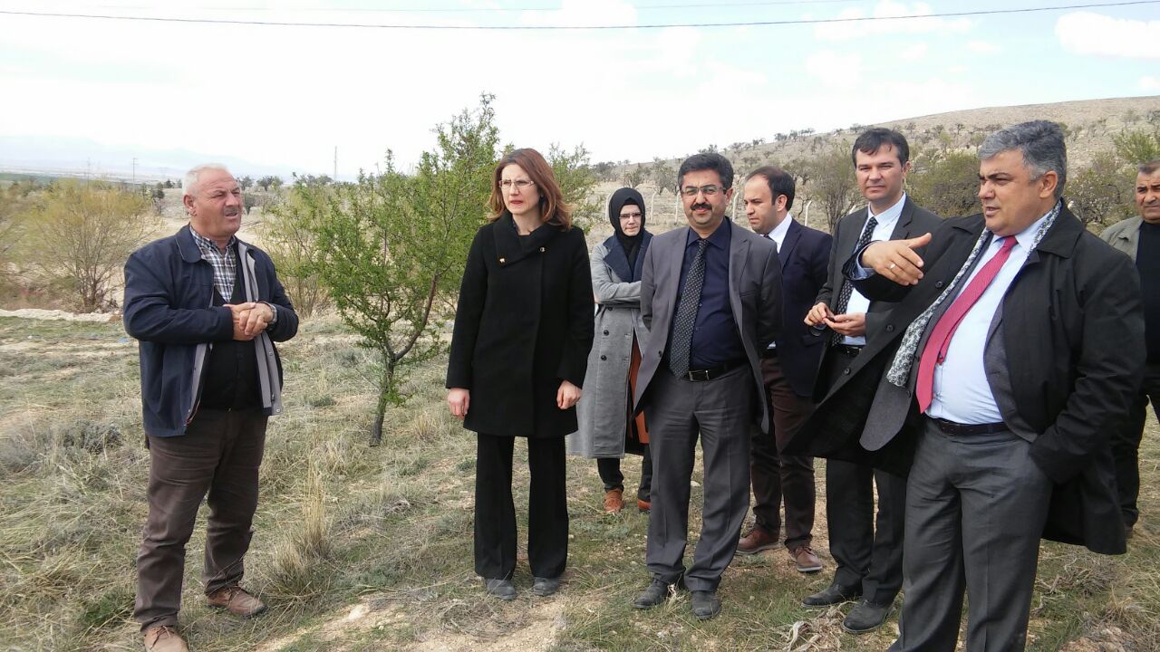 Dev Park İçin Adımlar Atıldı