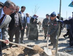 Şehit Er Hatıra Ormanında Yaşatılacak