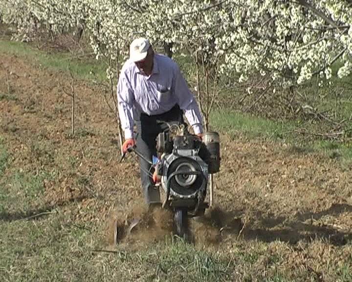 Ağaçların Bakımında Çapa ve Gübrenin Önemi