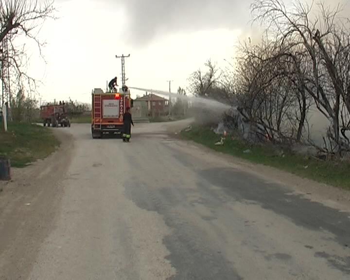 Sigara İzmariti Yol Kenarındaki Ağaçların Yanmasına Neden Oldu