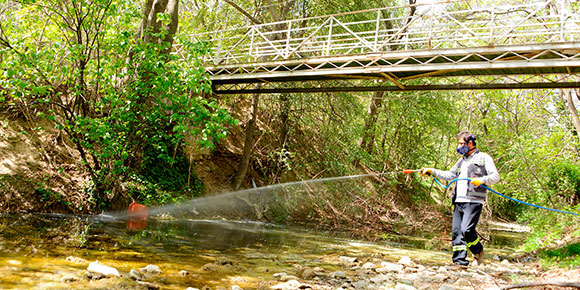Meram’da Haşereyle Mücadele Başladı