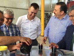 AVRUPA BEBEK MAMALARINDA EREĞLİ SİYAH HAVUCU